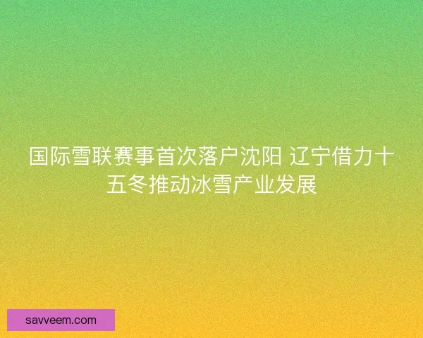 国际雪联赛事首次落户沈阳 辽宁借力十五冬推动冰雪产业发展 国际雪联赛事首次落户沈阳 辽宁借力十五冬推动冰雪产业发展
